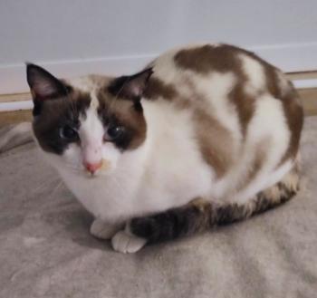 Betty Bild von Betty