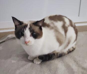 Betty Bild von Betty