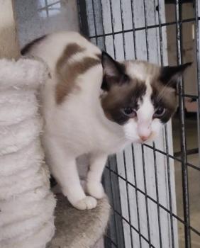 Betty Bild von Betty