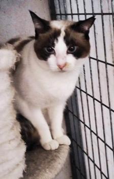 Betty Bild von Betty