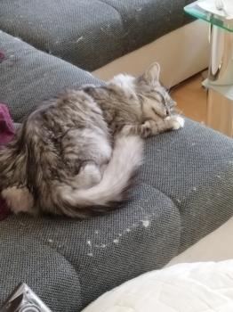 Madison Bild von Madison