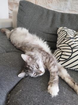 Madison Bild von Madison