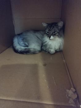 Madison Bild von Madison