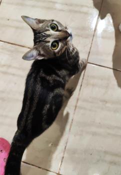 Naoki Bild von Naoki