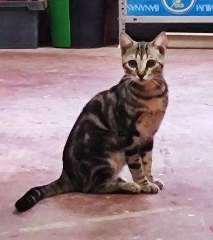 Naoki Bild von Naoki