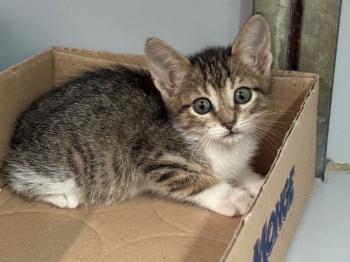 Malasana Bild von Malasana