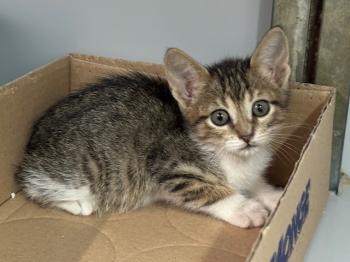 Malasana Bild von Malasana