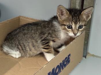 Malasana Bild von Malasana