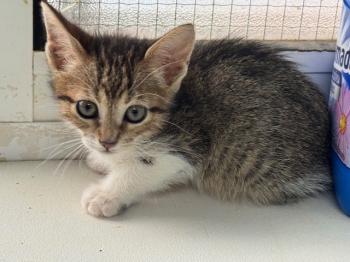 Malasana Bild von Malasana