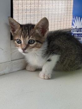 Malasana Bild von Malasana