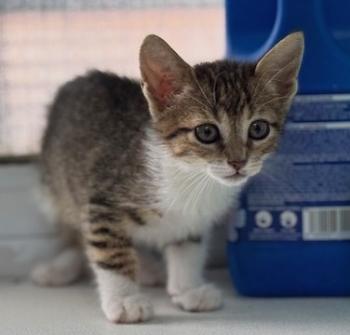 Malasana Bild von Malasana