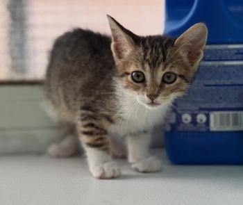 Malasana Bild von Malasana