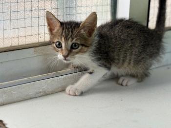 Malasana Bild von Malasana