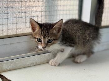 Malasana Bild von Malasana