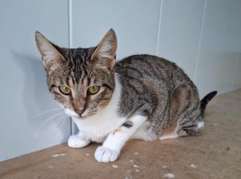 Malasana Bild von Malasana