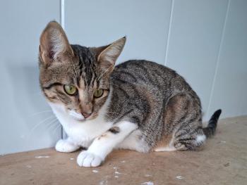 Malasana Bild von Malasana