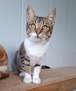 Malasana Bild von Malasana