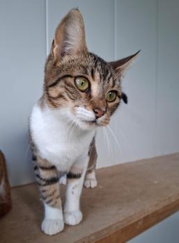 Malasana Bild von Malasana