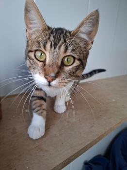 Malasana Bild von Malasana