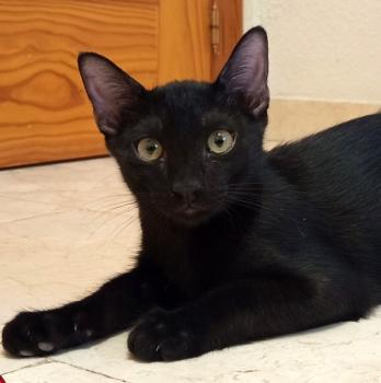 Lucio Bild von Lucio