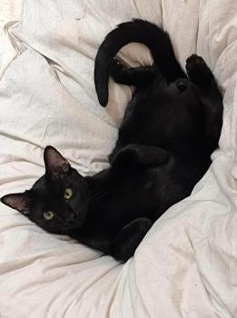 Lucio Bild von Lucio