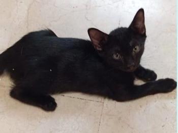 Lucio Bild von Lucio