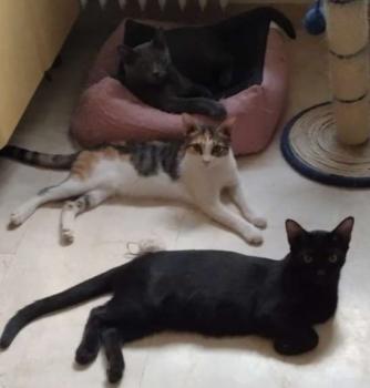 Lucio Bild von Lucio