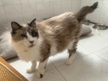 Bartolo Bild von Bartolo