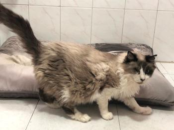 Bartolo Bild von Bartolo