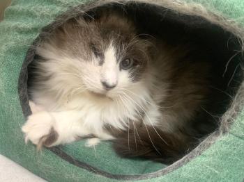 Bartolo Bild von Bartolo