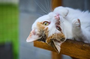 Muneca Bild von Muneca