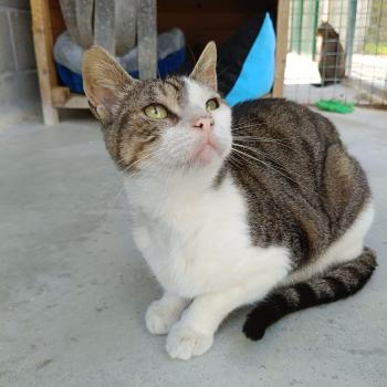 Bambu Bild von Bambu