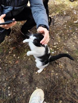 Gamma Bild von Gamma