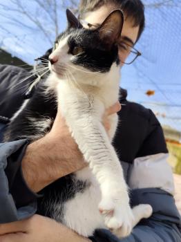 Gamma Bild von Gamma