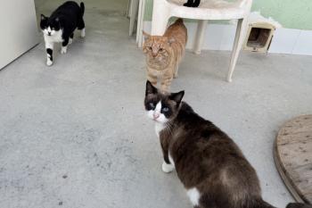 Tomas Bild von Tomas