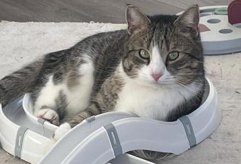 Vitali Bild von Vitali