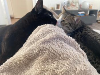 Vitali Bild von Vitali