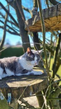 Nelja Bild von Nelja