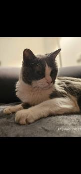 Nelja Bild von Nelja