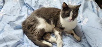 Nelja Bild von Nelja