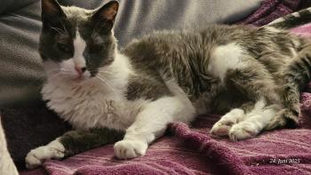 Nelja Bild von Nelja