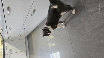 Nelja Bild von Nelja