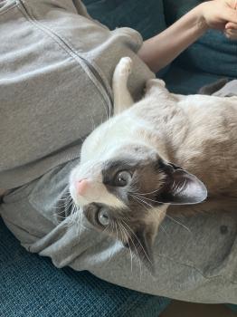 Keira Bild von Keira