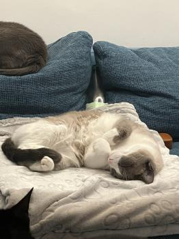 Keira Bild von Keira