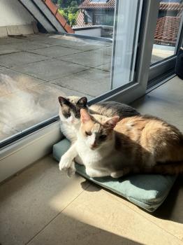 Keira Bild von Keira