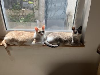 Keira Bild von Keira