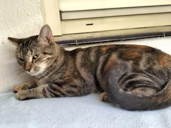 Bild von Tamara