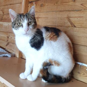 Agatha Bild von Agatha