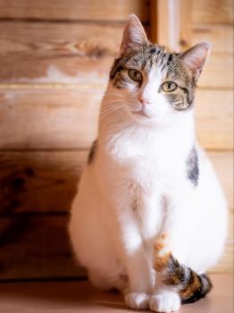 Agatha Bild von Agatha