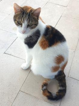 Agatha Bild von Agatha